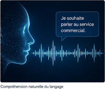 Compréhension naturelle du langage appliquée aux appels téléphoniques d'entreprise